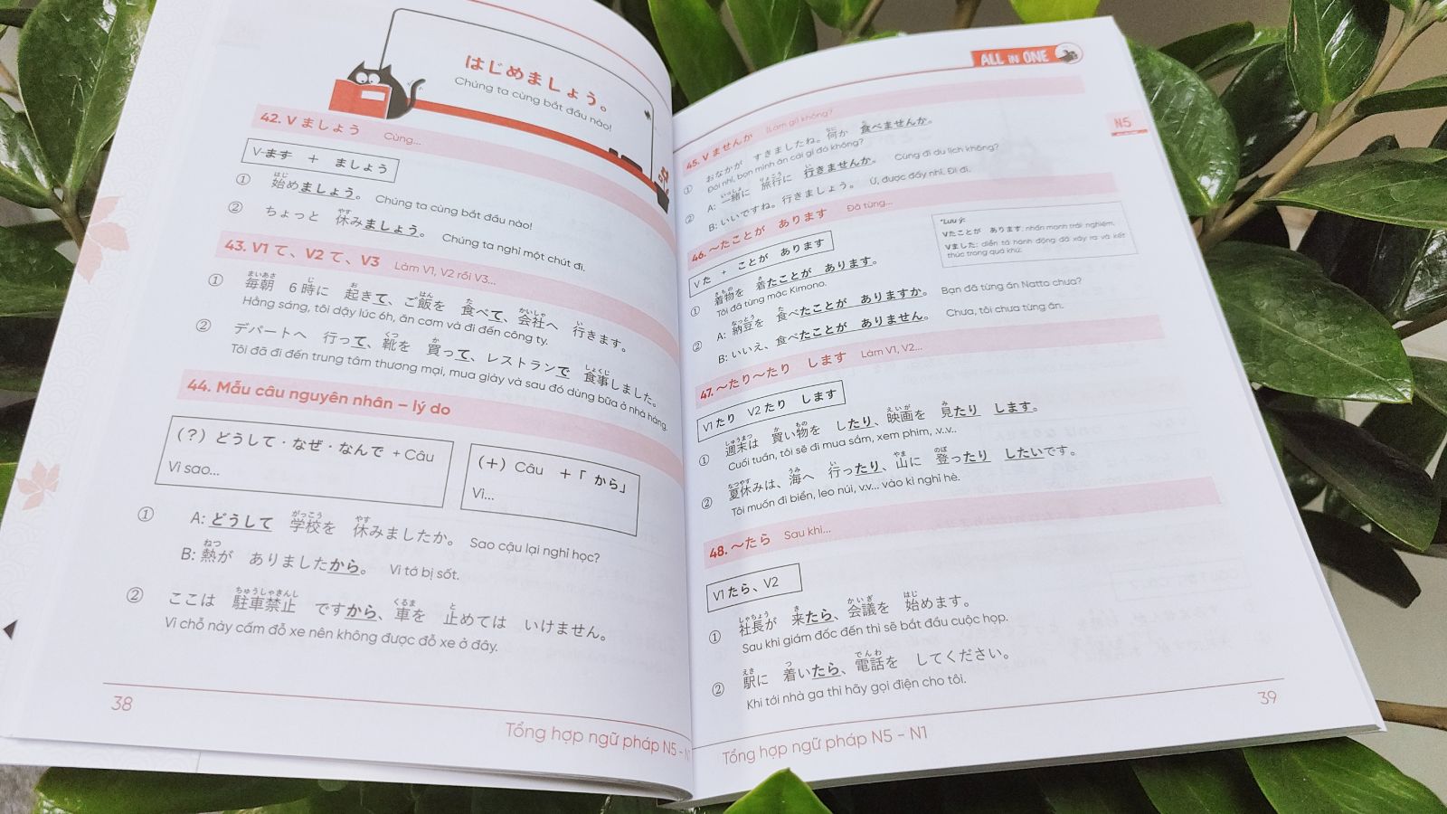TỔNG HỢP NGỮ PHÁP TIẾNG NHẬT N5 - N1