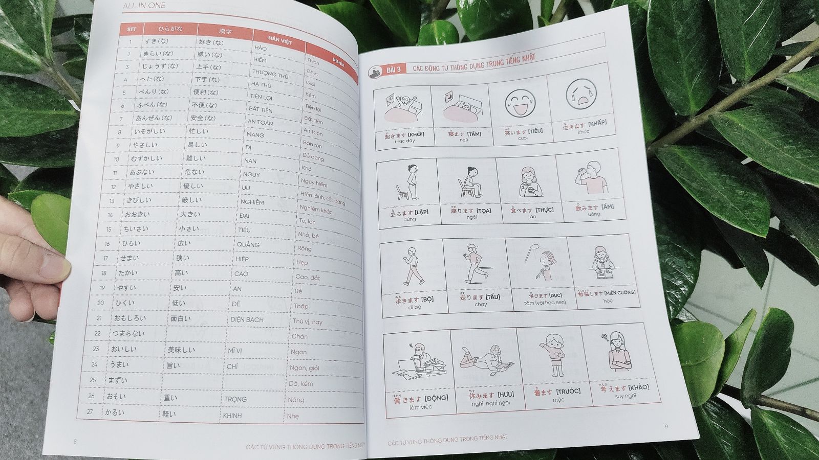 COMBO TỪ VỰNG - NGỮ PHÁP TIẾNG NHẬT N5-N1