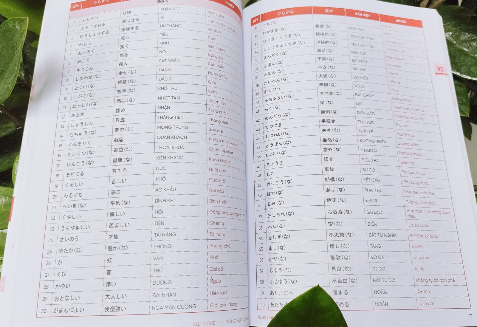 COMBO TỪ VỰNG - NGỮ PHÁP TIẾNG NHẬT N5-N1